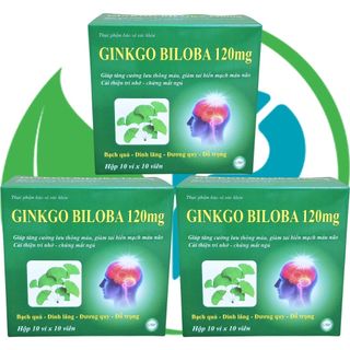 Combo 3 Hộp Ginkgo Biloba 120 mg Xanh Lá 100 Viên - Vinaphar - Vinaphar - Vitamin Phục Hồi