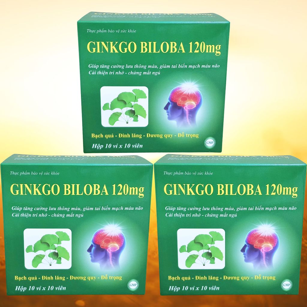 Combo 3 Hộp Ginkgo Biloba 120 mg Xanh Lá 100 Viên - Vinaphar - Vinaphar - Vitamin Thanh Lọc
