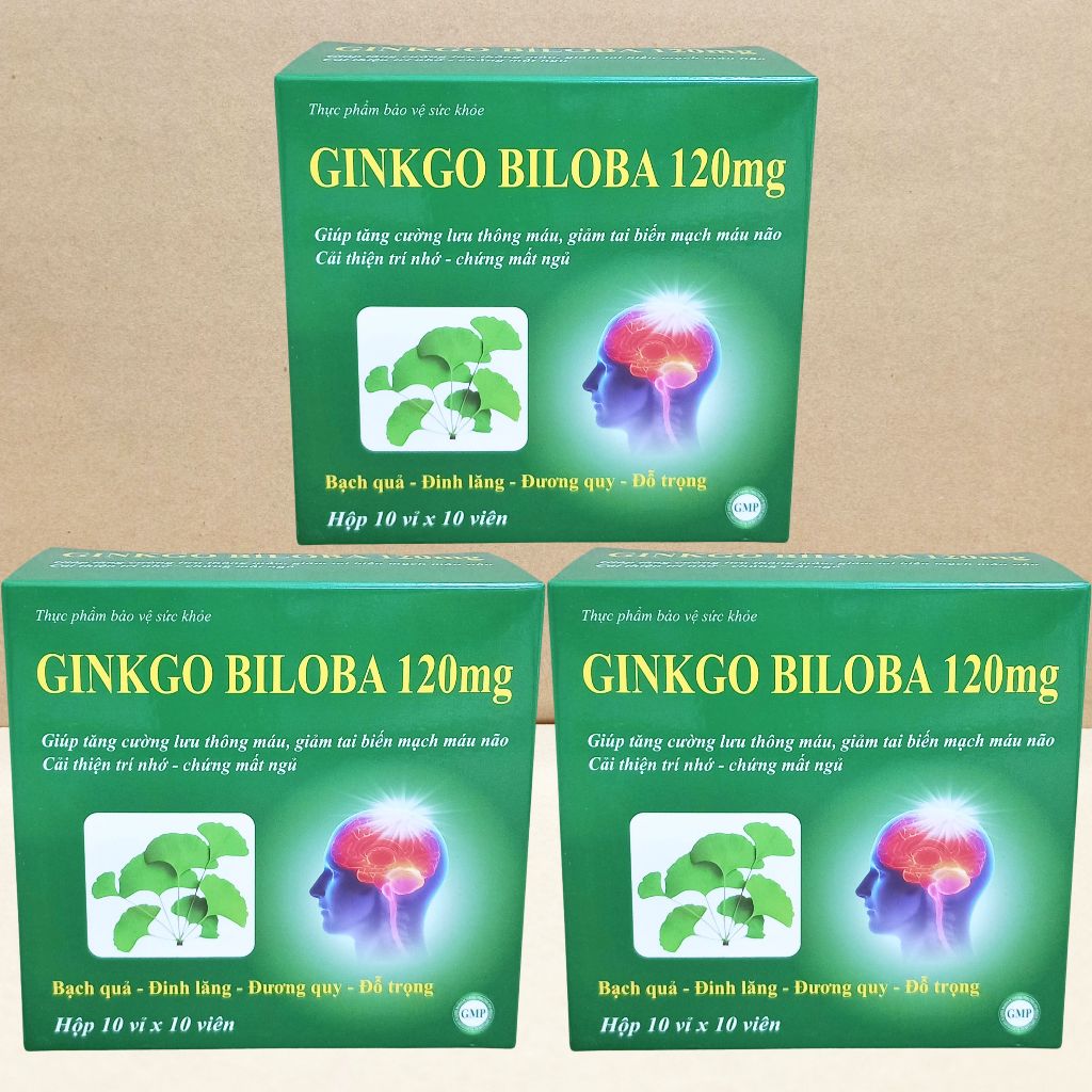 Combo 3 Hộp Ginkgo Biloba 120 mg Xanh Lá 100 Viên - Vinaphar - Vinaphar - Vitamin Chữa Lành
