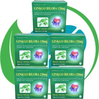 Combo 5 Hộp Ginkgo Biloba 120 mg Xanh Lá 100 Viên - Vinaphar - Vinaphar - Vitamin Phục Hồi