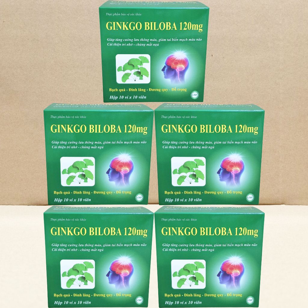 Combo 5 Hộp Ginkgo Biloba 120 mg Xanh Lá 100 Viên - Vinaphar - Vinaphar - Vitamin Chữa Lành