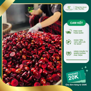 Quả mận máu Sấy Khô Lai Châu đẹp chuẩn 1kg