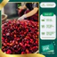 Quả mận máu Sấy Khô Lai Châu đẹp chuẩn 1kg