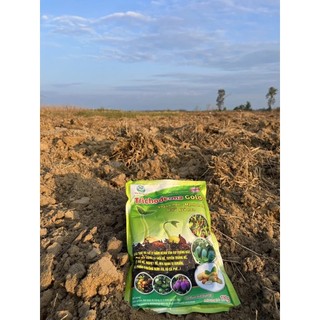 TRICHODERMA - Cải tạo đất tơi xốp