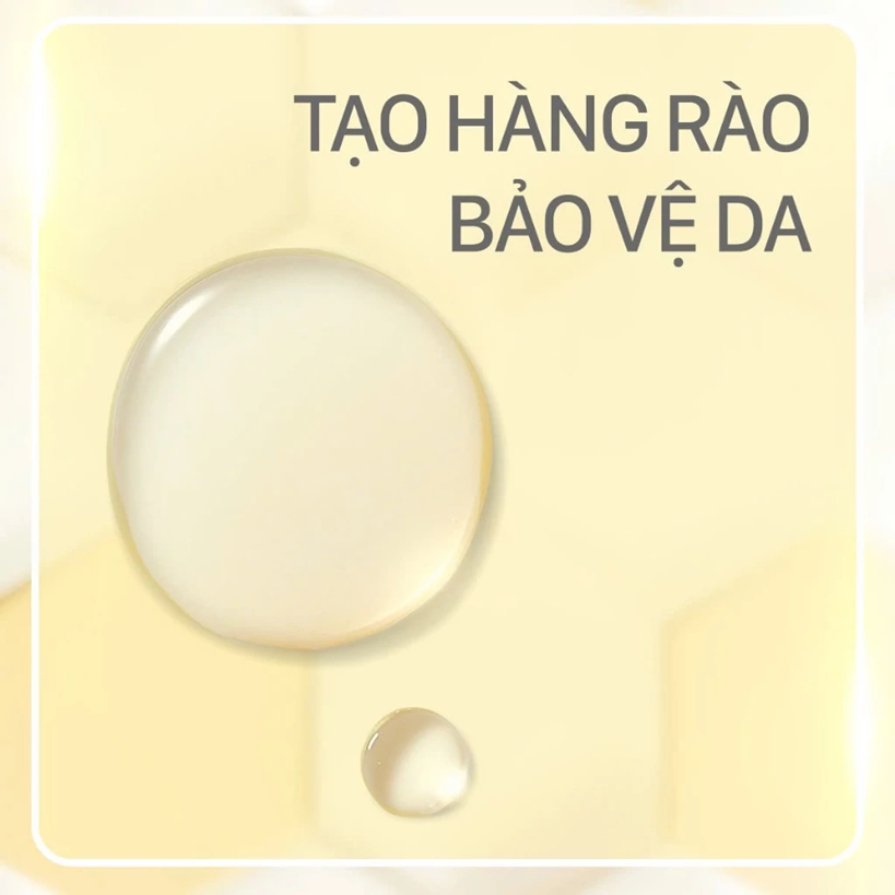[TÁCH SET] Nước thần keo ong CNP Laboratory Propolis Treatment Ampule Essence dưỡng da giúp phục hồi làn da 50ml