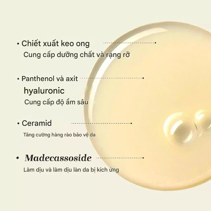 [TÁCH SET] Nước thần keo ong CNP Laboratory Propolis Treatment Ampule Essence dưỡng da giúp phục hồi làn da 50ml