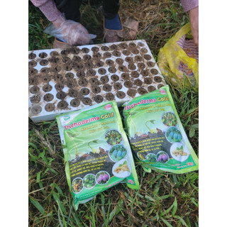 TRICHODERMA - Cải tạo đất tơi xốp