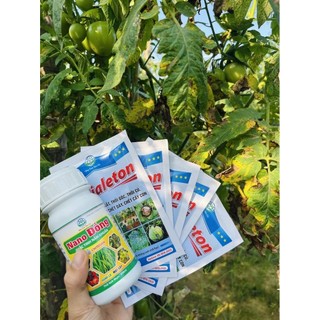 Jialeton - Phòng và giải q.uyết phấn trắng, gỉ sắt, s.ương mai, thán th.ư, đốm lá trên rau màu