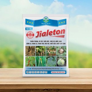 Jialeton - Phòng và giải q.uyết phấn trắng, gỉ sắt, s.ương mai, thán th.ư, đốm lá trên rau màu