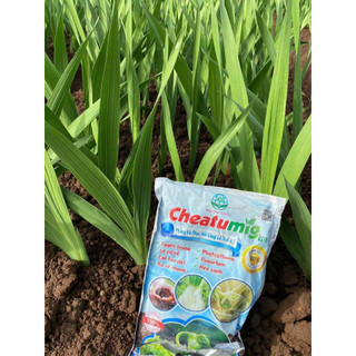 CHEATUMIG - Chế ph.ẩm s.inh học hữu cơ ph.òng và ph.ục hồi, cải tạo đất