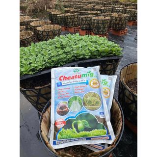 CHEATUMIG - Chế ph.ẩm s.inh học hữu cơ ph.òng và ph.ục hồi, cải tạo đất
