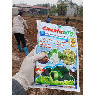 CHEATUMIG - Chế ph.ẩm s.inh học hữu cơ ph.òng và ph.ục hồi, cải tạo đất