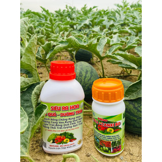Combo 1 RA HOA ĐẬU QUẢ và 2 CANXI BO Giúp Cây Ra Hoa Đậu Quả Nhiều,Thẳng Quả,Chắc Trái, Bóng Trái