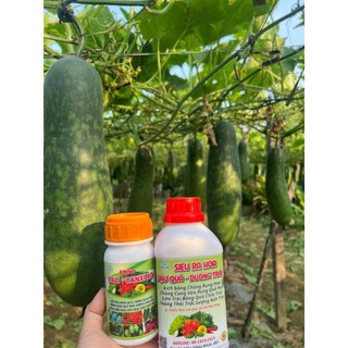 Combo 1 RA HOA ĐẬU QUẢ và 2 CANXI BO Giúp Cây Ra Hoa Đậu Quả Nhiều,Thẳng Quả,Chắc Trái, Bóng Trái