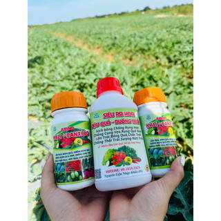 Combo 1 RA HOA ĐẬU QUẢ và 2 CANXI BO Giúp Cây Ra Hoa Đậu Quả Nhiều,Thẳng Quả,Chắc Trái, Bóng Trái