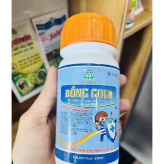 ĐỒNG G/O/L/D TOÀN CẦU