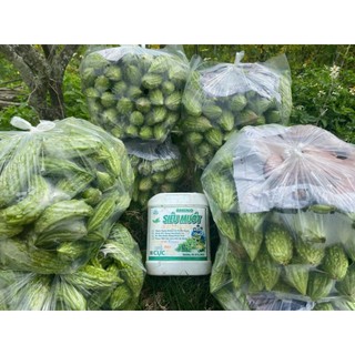 AMINO SIÊU MƯỚT (5 LÍT)