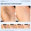 Máy Triệt Lông Halio SilkGlow IPL Sapphire Cooling Hair Removal Device
