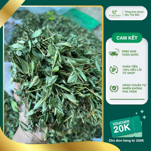 Trà Cỏ Ngọt Khô Xanh Đẹp Hàng Loại 1 Giải Độc Mát Gan
