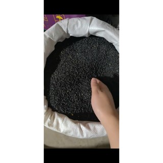 100 Gam-Hạt giống Rau Hẹ, Dễ Trồng Sinh Truỏng Phát Triển Khoẻ