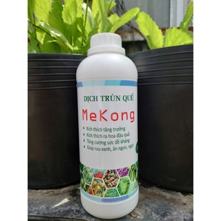 Dịch Trùn Quế MekongTTS ORGANIC Hữu Cơ Dinh Dưỡng - Xanh Lá Mập Thân Phục Hồi Cây