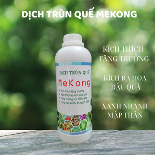 Dịch Trùn Quế MekongTTS ORGANIC Hữu Cơ Dinh Dưỡng - Xanh Lá Mập Thân Phục Hồi Cây