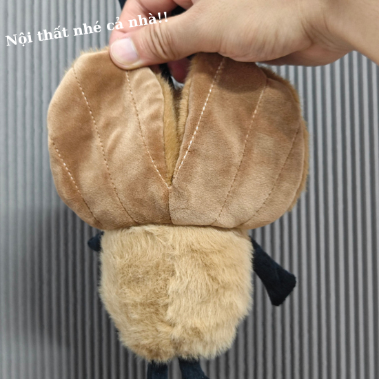 Gấu Bông Con Gián Tiểu Cường Vô Tri Dễ Thương Quà Tặng Cho Bé, Người Yêu, Bạn Trai,Gái. Bobesu