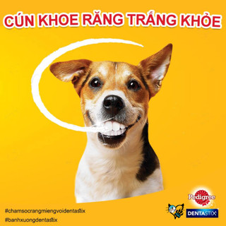 [ Hộp 12 gói ] Bánh xương cho chó Pedigree Dentastix , Bánh thưởng chăm sóc răng miệng