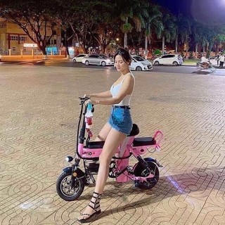 Vành mâm trước xe điện theli, lihaze, burke, adiman