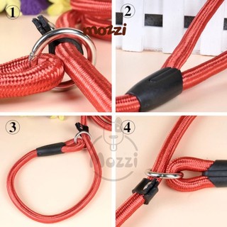 Dây dắt huấn luyện dáng tròn tự thu nới vòng cổ cho chó mèo