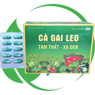 Cà Gai Leo Tam Thất - Xạ Đen Vỉ - Rostex - Vinaphar - Vitamin Phục Hồi