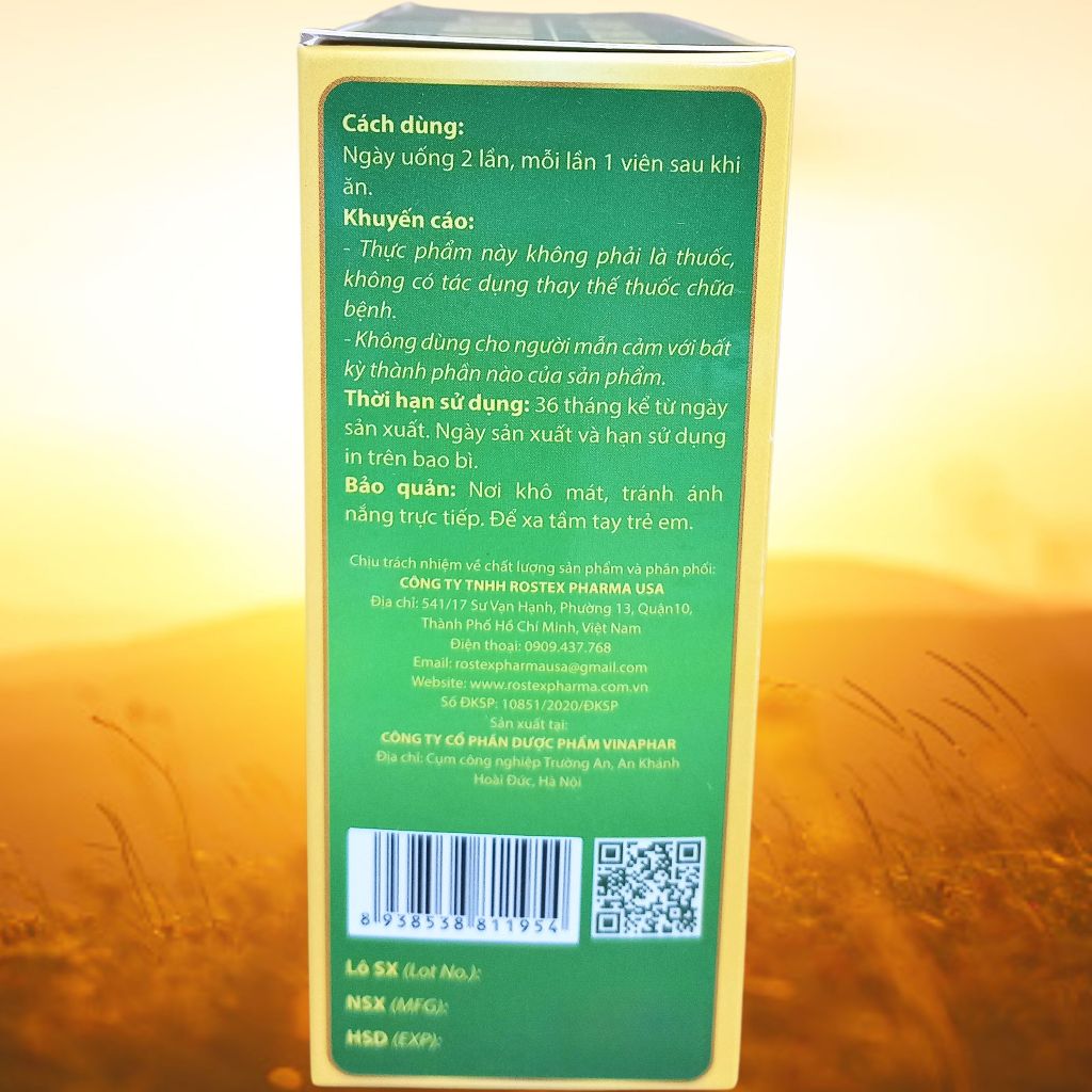 Cà Gai Leo Tam Thất - Xạ Đen Vỉ - Rostex - Vinaphar - Vitamin Thanh Lọc