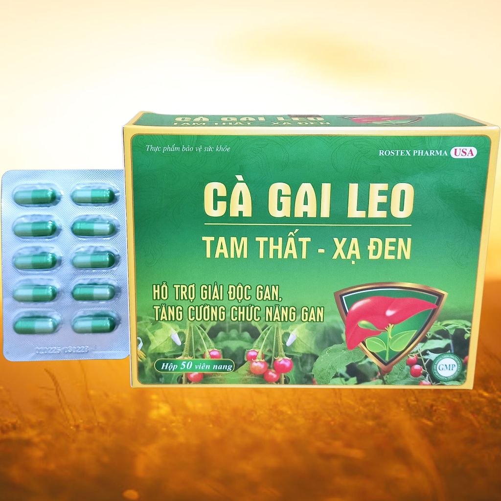 Cà Gai Leo Tam Thất - Xạ Đen Vỉ - Rostex - Vinaphar - Vitamin Thanh Lọc