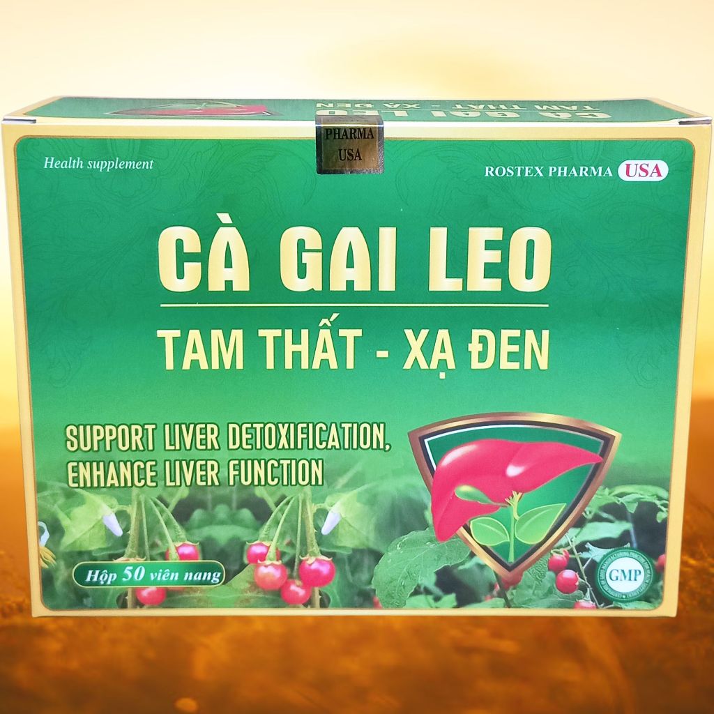 Cà Gai Leo Tam Thất - Xạ Đen Vỉ - Rostex - Vinaphar - Vitamin Thanh Lọc