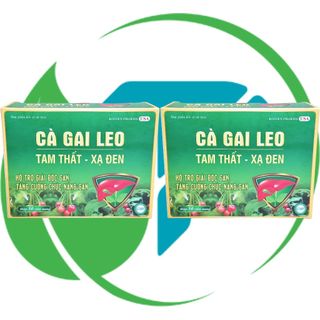 Combo 2 Hộp Cà Gai Leo Tam Thất - Xạ Đen Vỉ - Rostex - Vinaphar - Vitamin Phục Hồi
