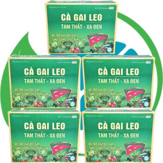 Combo 5 Hộp Cà Gai Leo Tam Thất - Xạ Đen Vỉ - Rostex - Vinaphar - Vitamin Phục Hồi