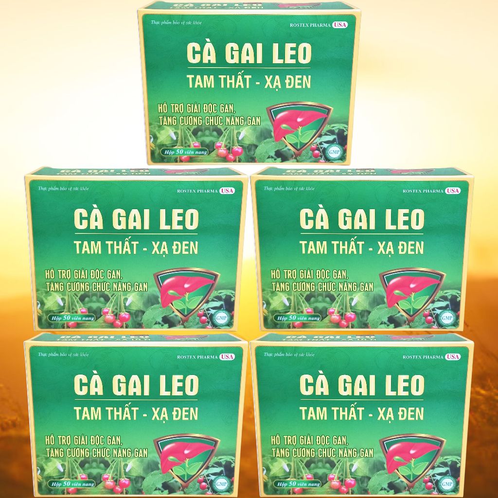 Combo 5 Hộp Cà Gai Leo Tam Thất - Xạ Đen Vỉ - Rostex - Vinaphar - Vitamin Thanh Lọc