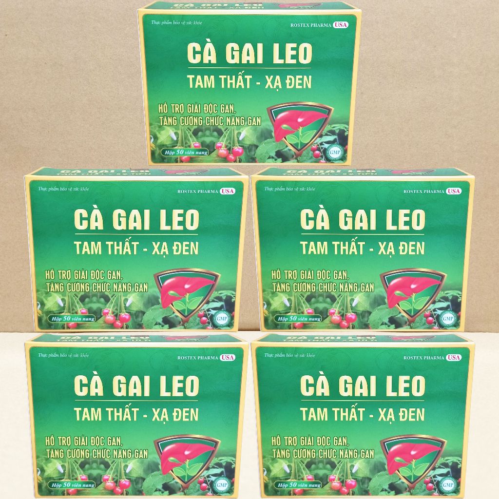 Combo 5 Hộp Cà Gai Leo Tam Thất - Xạ Đen Vỉ - Rostex - Vinaphar - Vitamin Chữa Lành