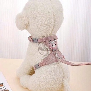 Dây dắt yếm ngực DoHa hình mặt gấu cho chó mèo