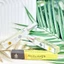 Nước hoa unisex Mus.k The.rapy Extrait De Parfum 10ml