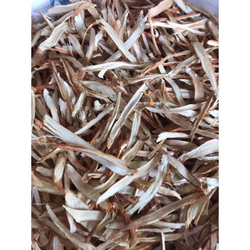 sâm cau khô 500g -1kg