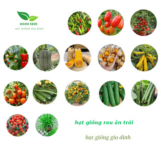 Hạt Giống Các Loại Cây Ăn Trái, dễ trồng , năng xuất cao, sinh trưởng phát triển khoẻ