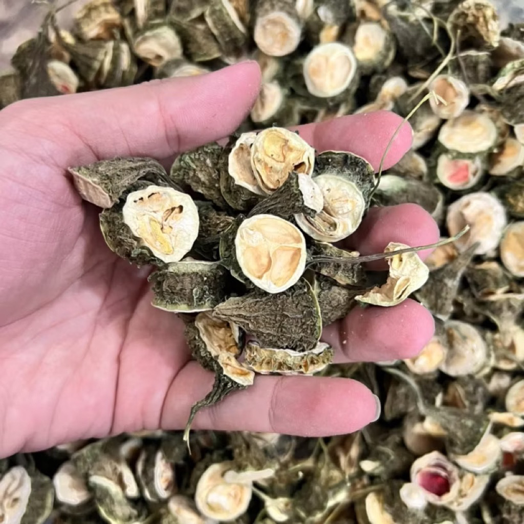 Khổ Qua Rừng Sấy Khô | Mướp Đắng Sấy Khô Hỗ Trợ Tiểu Đường, Giảm Huyết Áp