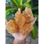 Đường phèn vàng quảng ngãi 55000