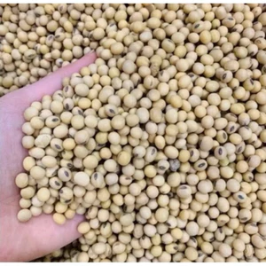 Đỗ tương vàng, đậu nành sống - 10 kg
