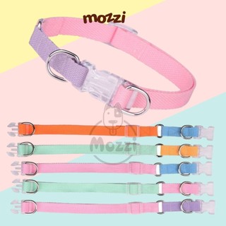 Set dây dắt kèm vòng cổ 7 màu cho chó [Giao màu ngẫu nhiên]