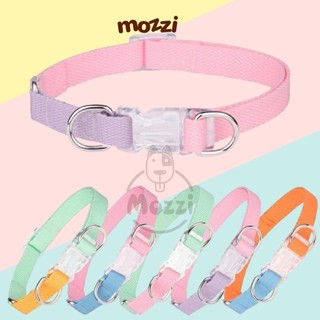 Set dây dắt kèm vòng cổ 7 màu cho chó [Giao màu ngẫu nhiên]