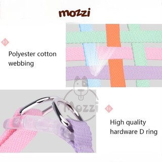 Set dây dắt kèm vòng cổ 7 màu cho chó [Giao màu ngẫu nhiên]
