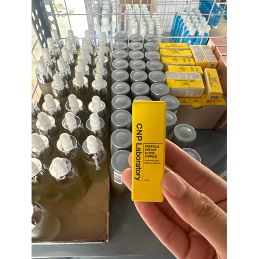 Tinh chất keo ong phục hồi da, ẩm da CNP Laboratory Propolis Energy Ampule 5ml/10ml/15ml/35ml/50ml (Nobox)