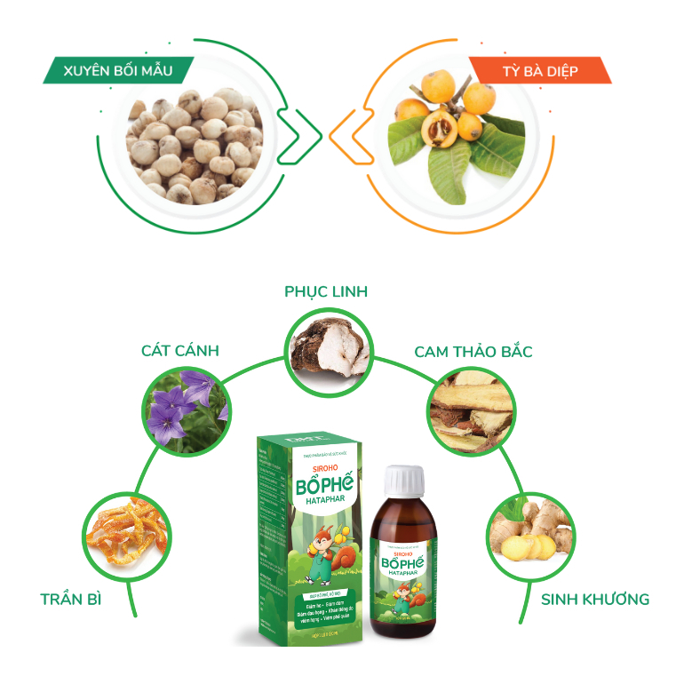 [RẺ VÔ ĐỊCH] Siro Bổ Phế Hataphar – Hỗ Trợ Làm Dịu Cổ Họng, Dành Cho Trẻ Em & Người Lớn DHT Pharma Chai 120ml